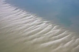 Abstracts: Tidal Mud Flats aerial view