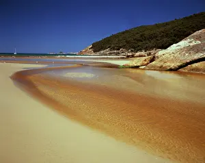 Promontory: Tidal River with tannin-coloured water meeting