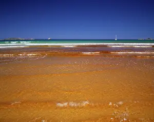 Promontory: Tidal River with tannin-coloured water meeting
