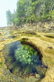 Stoneware: Tide pools at low tide at the edge of the Pacific