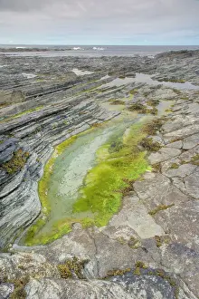 Tidepool: Tidepool at low tide