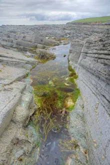 Tidepool: Tidepool at low tide