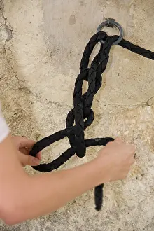 Ropes: Tie the horse with the halter France