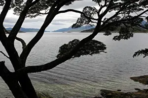 Fuego: Tierra del Fuego National Park