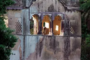 Rajbagh: Tiger - In Rajbagh Palace