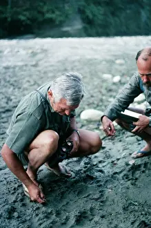 Marks: Tiger Tracks - Charles McDougal measuring paw-print
