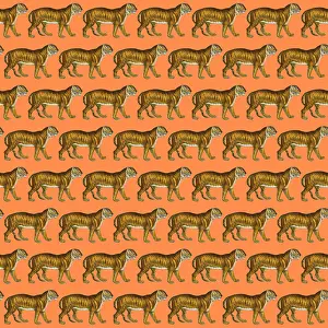 Packaging: Tigers