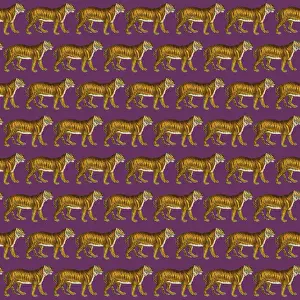 Packaging: Tigers