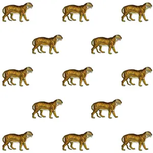 Packaging: Tigers