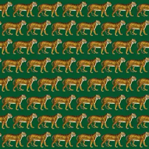 Packaging: Tigers