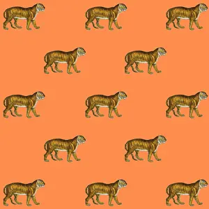 Packaging: Tigers