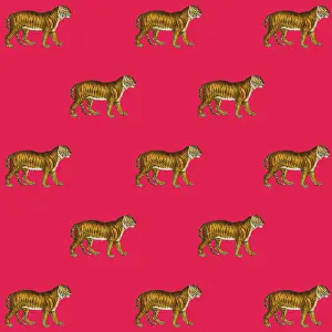 Packaging: Tigers