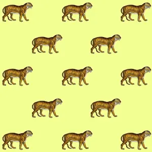 Packaging: Tigers
