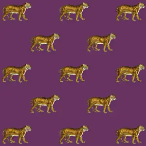 Packaging: Tigers
