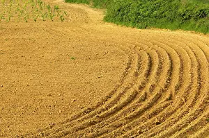 Ready: Tilled ground ready for planting near the