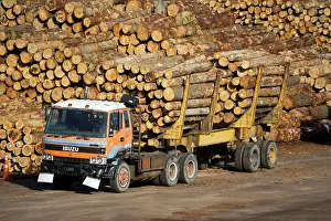 Lorry: Timber logs stacked on quayside at Lyttleton Port