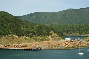 Sounds: Timber trade - storage place for timber felled