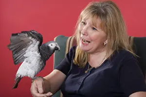 Psittacus: Timneh African Grey Parrot with Owner