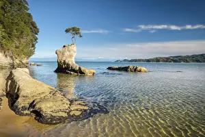 Abel: Tinline Bay, Abel Tasman Coastal Track, Abel Tasman