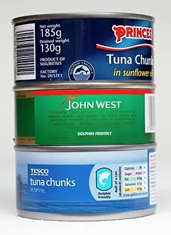 Tunas: Three tins of dolphin friendly tuna steak chunks