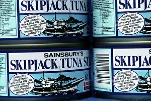 Tunas: Tins of Sainsbury dolphin friendly pole and line