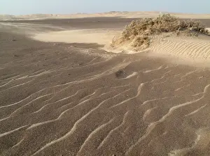 Belt: Tiny sand dunes form around the scanty vegetation