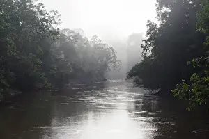 Yasuni: Tiputini River at dawn near Yasuni Research Station
