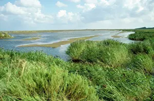Rspb: Titchwell Nature Reserve (RSPB)
