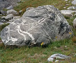 Divide: Titcomb Basin Boulder