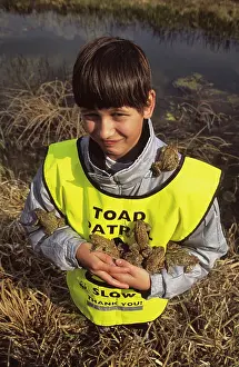 Patrol: Toad Patrol in Hungary - young man rescuing toads