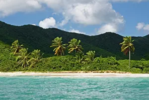Tobacco: Tobacco Beach, South East Coast, Antigua