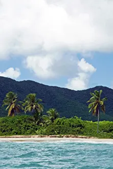 Tobacco: Tobacco Beach, South East Coast, Antigua