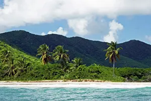 Tobacco: Tobacco Beach, South East Coast, Antigua