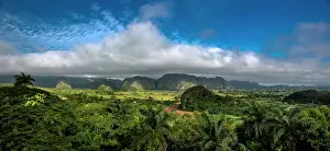 Tobacco: Tobacco fields and the Mogotes karst mountains