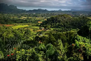 Tobacco: Tobacco fields and the Mogotes karst mountains