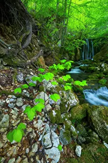 Riverain: Toberia falls, Andoin, Sierra Entzia Natural Park