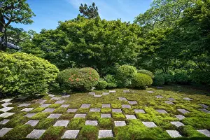 Rhododendron: Tofukuji's garden at Ky&, x134bec; Japan