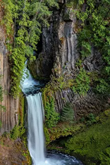 Basalt: Toketee Falls runs over basalt columns in the Umpqua