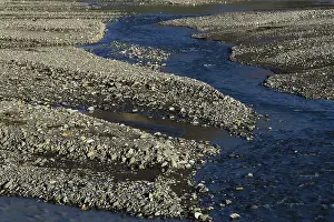 Channels: Toklat River in Alaska