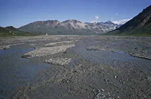 Channels: Toklat River in Alaska