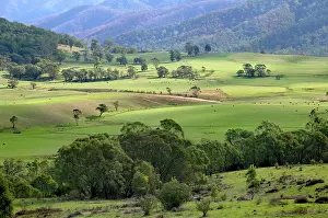 Kosciuszko: Tom Groggin cattle Station - At the foot of Mt Kosciuszko