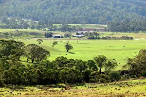 Kosciuszko: Tom Groggin Station below Mount Kosciuszko. Alpine