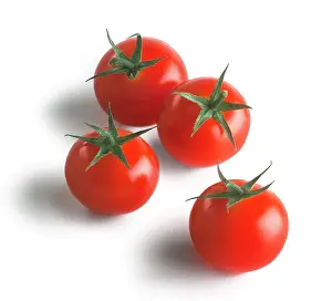 Gardeners: Tomato