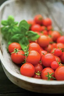 Basil: Tomato