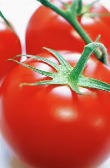 Silky: Tomato