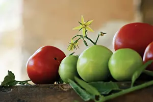 Sufficient: Tomato