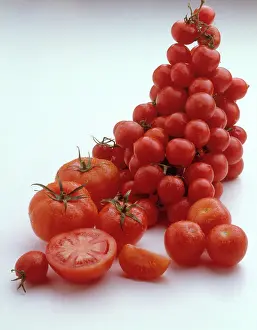 Tomato: Tomatoes