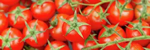 Essen: Tomatoes Tomato Vegetables from above Panorama