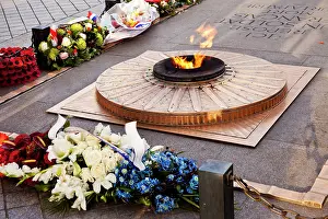 Flame: Tomb of the Unknown Soldier below the Arc