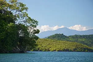 Connie: Tomori Bay and Morowali Nature Reserve